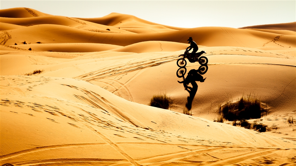 The Dune Rider9Yasser Badr Silhouettes Competition, April 2017