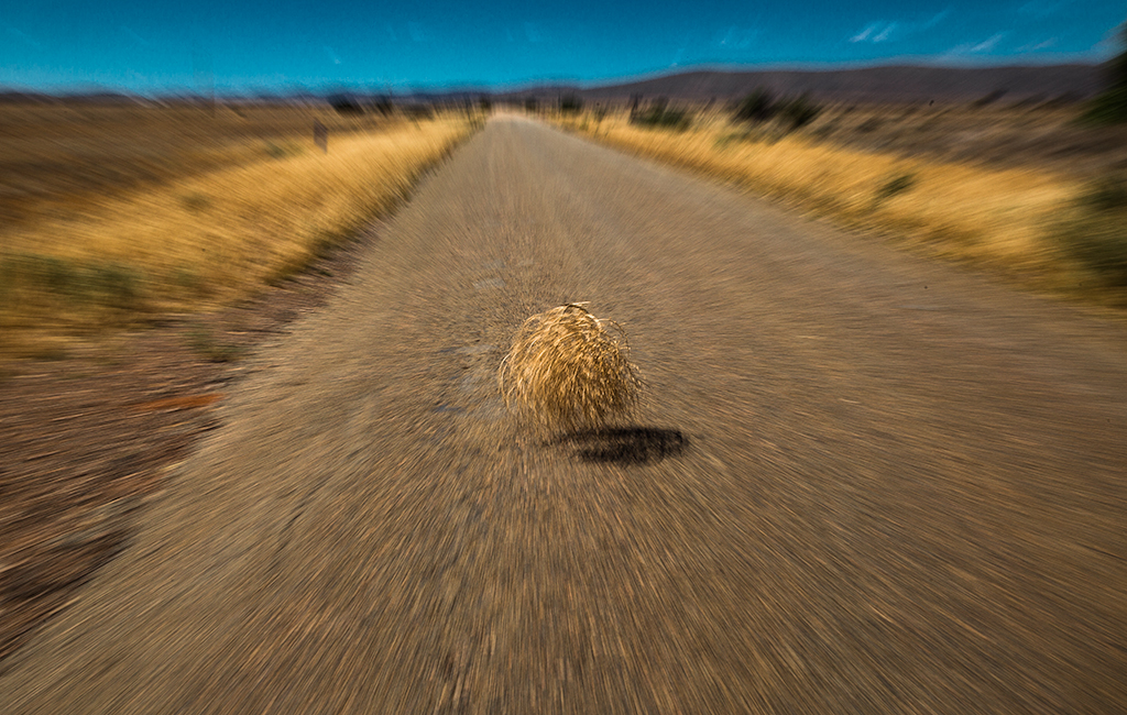 Why Did the Tumbleweed Cross the Road9Peter Barrien From a Height Competition, June 2017