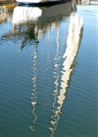 Wanda Bowen Reflection on Water 10 640x480 Botanical, February 2018