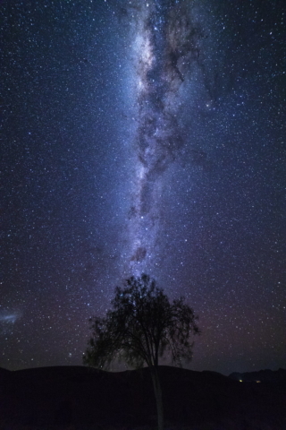 Digital Projected Open B Grade Milky Way over Tree Anthony Berni 640x480 2018   Night Photography