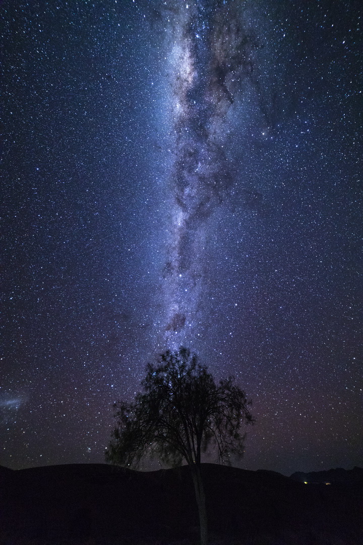 Digital Projected Open B Grade Milky Way over Tree Anthony Berni 2018   Night Photography