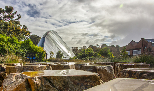David Watkins Adelaide Botanical Gardens Highly Commended 640x480 April 2019   Street Photography