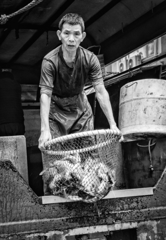 Susan Whitbread Wet Markets Hong Kong Merit 640x480 April 2019   Street Photography