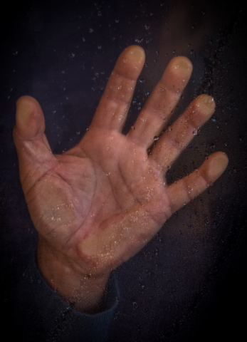 Julie Deer Behind Glass 8 Digital Projected Set A Grade 640x480 July 2019   Hands & Feet