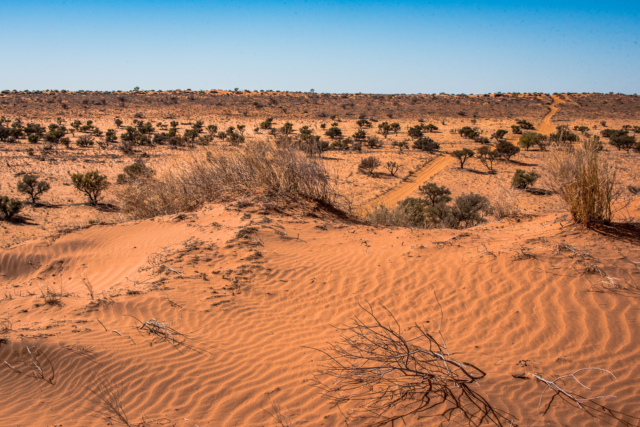 Julie Deer Red Sand in the Desert 8 Digital Projected Open A Grade 640x480 July 2019   Hands & Feet