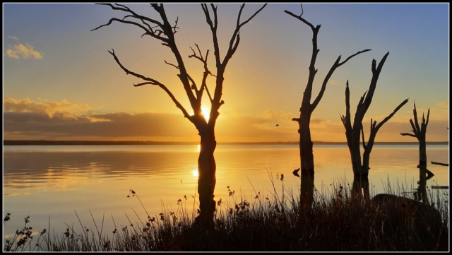 Vince Calo Sunrise at Lake Bonney 8 Digital Projected Open A Grade 640x480 October 2019   Still Life
