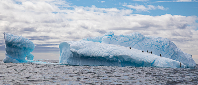 Toni Elliott Iceberg Ahead Merit 640x480 February 2020   The Golden Hour
