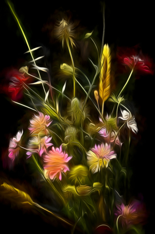 Keith Sylvester Flowers001 Highly Commended 640x480 April 2020   Minimalist