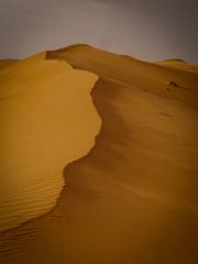 Richard Oborn Corrugations in the Sand Merit 320x240 April 2020   Minimalist