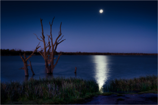 Ross Lange MoonPath Highly Commended 320x240 April 2020   Minimalist