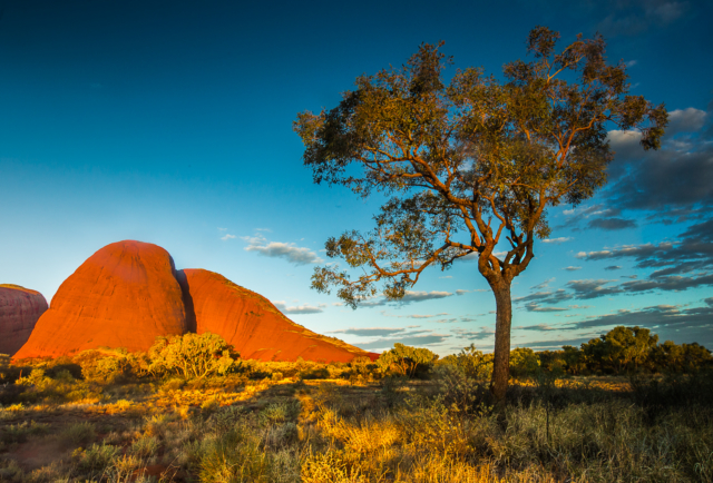 Peter Barrien Highly Commended Kata Tjuta Dreaming 640x480 May 2020   Nature