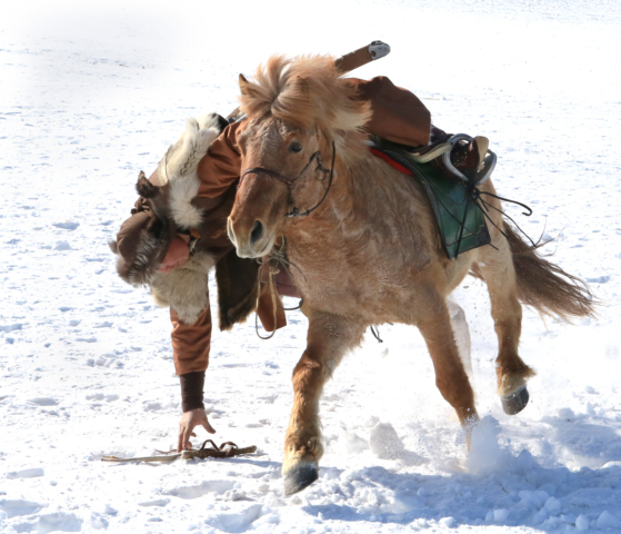 Highly Commended Ian Patterson Horsing Around in Mongolia 8 640x480 August 2020   Action