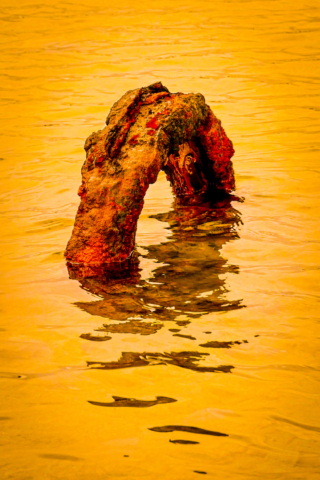 Top Merit Richard Oborn Sunset on the Lagoon 10 640x480 August 2020   Action
