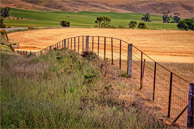 Lange Ross FarmFencing 9 640x480 March 2021   Fences