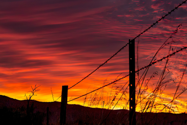 Newland Martin Barbed Wire 9 640x480 March 2021   Fences