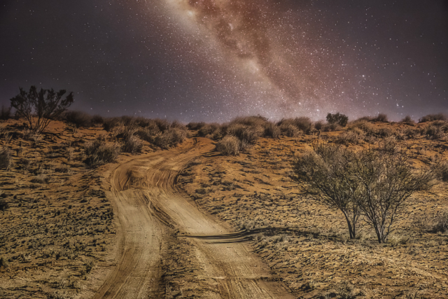 Deer Julie Desert by Night 9 640x480 June 2021   High Key / Low Key