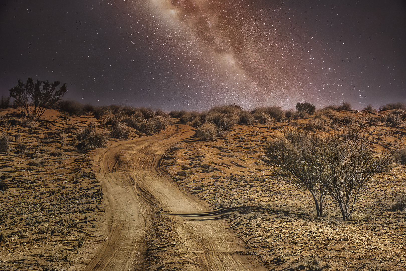 Deer Julie Desert by Night 9 June 2021   High Key / Low Key