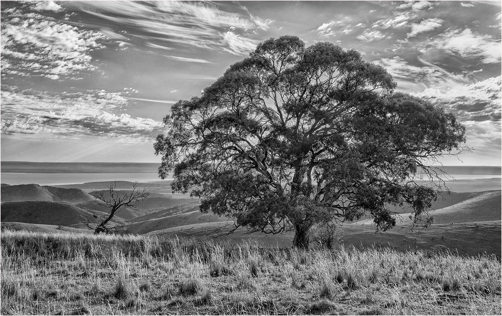 Hodgson John Southern Flinders Landscape 8 July 2021   Nature
