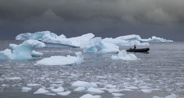 Patterson Lesley Iceberg Cruise 8 640x480 July 2021   Nature