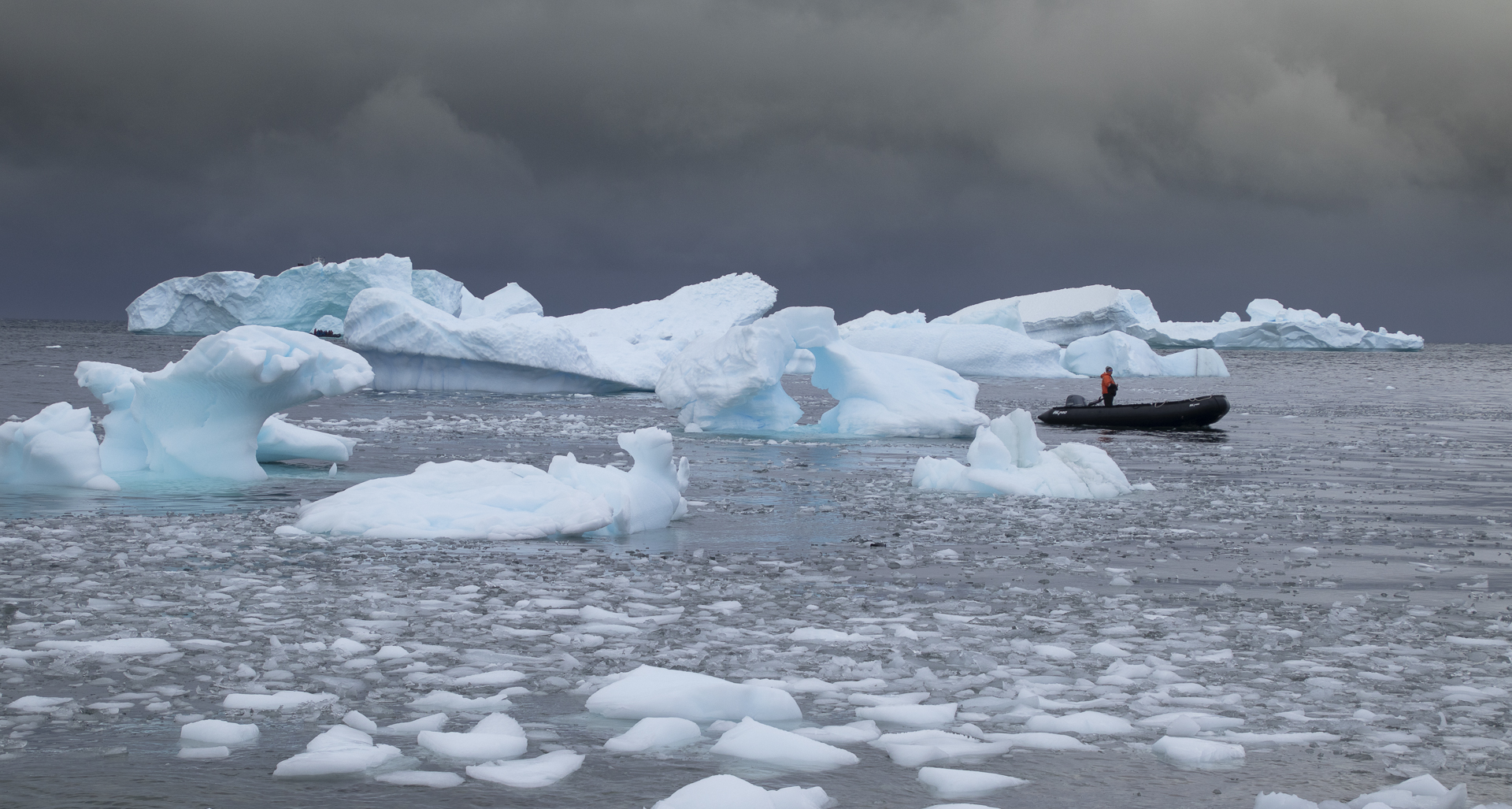 Patterson Lesley Iceberg Cruise 8 July 2021   Nature