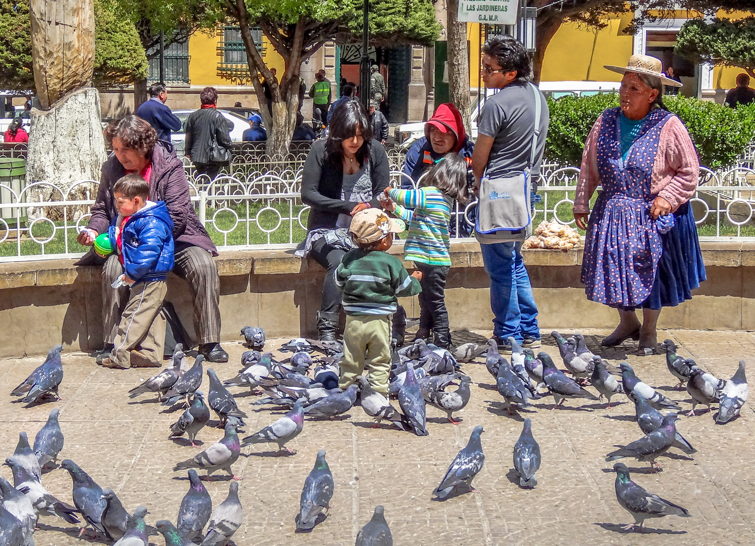Julie Deer EFIAP AAPS Pigeons in the Park 8 1 November 2021   Crowded Spaces