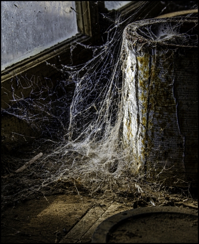 Mosel Terry Digital Projected Open A Grade 10 Cobwebs Rust and Dust 640x480 March 2022   Group of Three