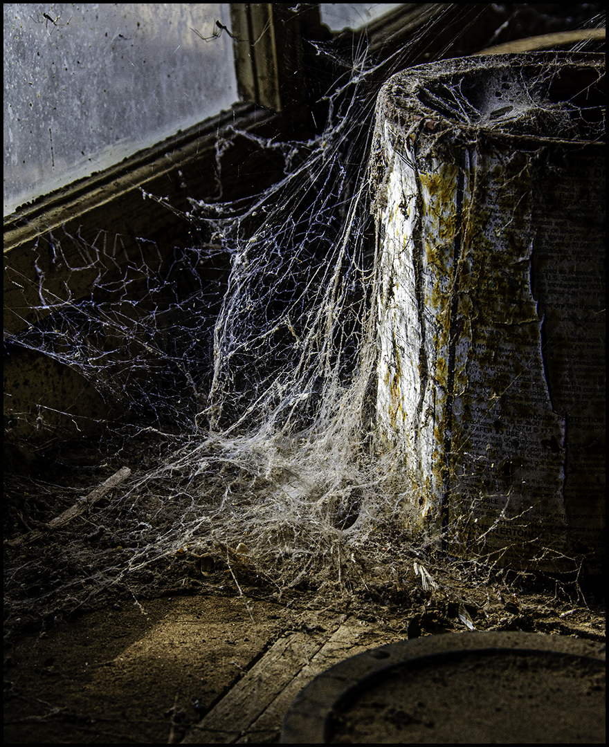 Mosel Terry Digital Projected Open A Grade 10 Cobwebs Rust and Dust March 2022   Group of Three