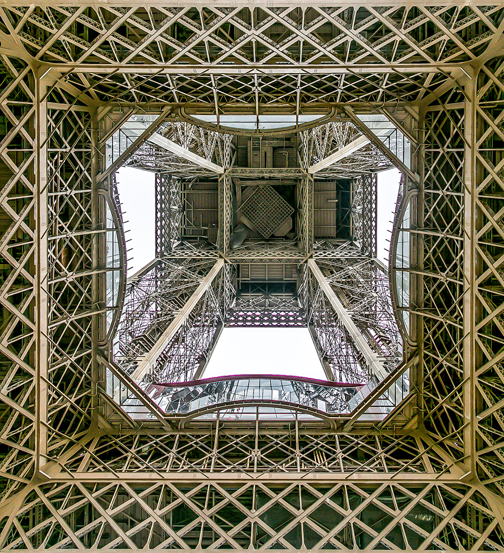 Newland Martin Digital Projected Open A Grade 8 Eiffel Tower June 2022   Bird Behaviour
