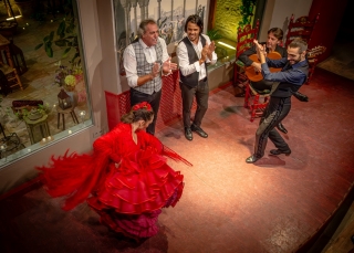 Ioannou Michael Digital Projected Open A Grade Flamenco in Seville 9 320x240 November 2023   Nature in your neighbourhood