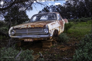 Pauline Mosel Abandoned Car 320x240 January 2024   Abandoned