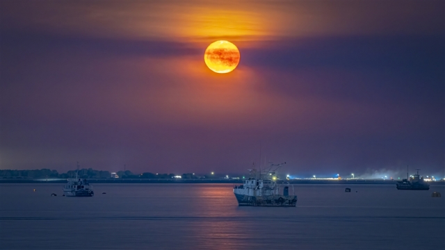 Highly CommendedMoon Rise Darwin HarbourDonald Owers8 640x480 August 2024   Architecture north of the Terrace   unconventional perspectives