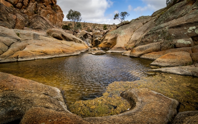 Corina Gul The Watering Hole Merit 9 640x480 November 2024   Botanicals