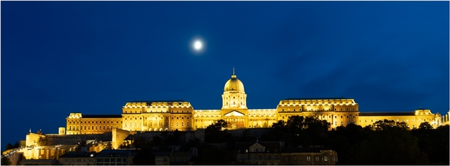 Denise Trewartha Blue Hour in Budapest Merit 9 640x480 November 2024   Botanicals