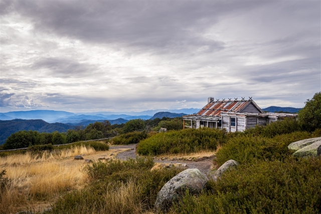 Donald Owers Craigs Hut Highly Commended 8 640x480 November 2024   Botanicals