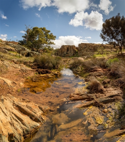 Lesley Patterson AFIAP AAPS Shallow Pool Appila Springs Highly Commended 8 640x480 November 2024   Botanicals