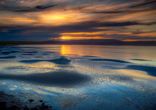 Peter Barrien EFIAP FAPS Coffin Bay Sunset Merit 9 640x480 November 2024   Botanicals