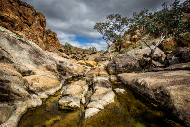 Peter Barrien EFIAP FAPS The Gorge Above Top Merit 10 640x480 November 2024   Botanicals