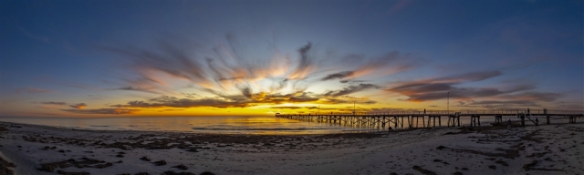 Russell Murphy Beachpano Highly Commended 8 640x480 November 2024   Botanicals