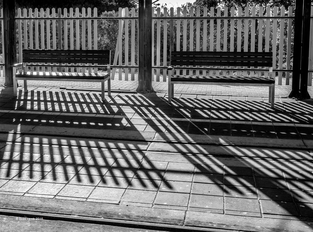  2016 Monthly Competition   Shadows