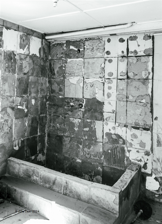 Julie Deer Abandoned Bathroom EFIAP AAPS January 2024   Abandoned