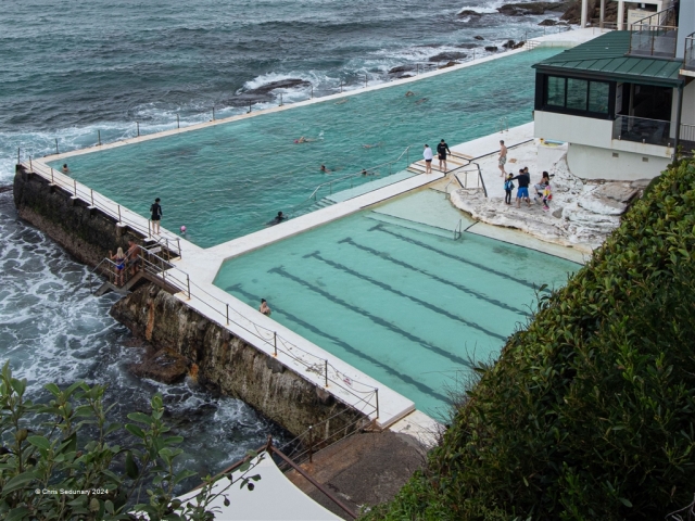 Sedunary ChrisBondi Icebergs8Highly Commended 640x480 2024 March   Water