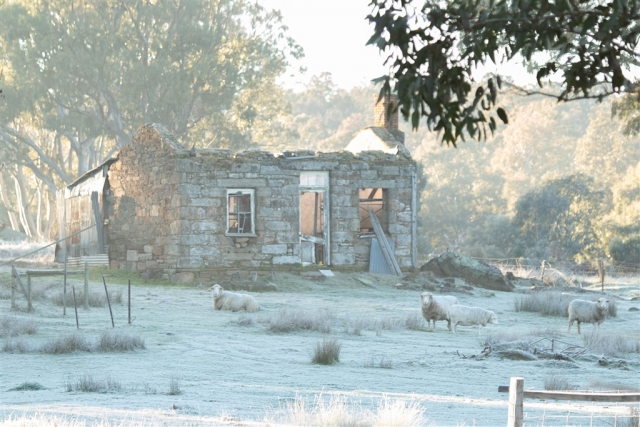 Chris Sedunary Frosty Morning on the Farm Highly Commended 8 640x480 September 2026   Farm (Rural) Life