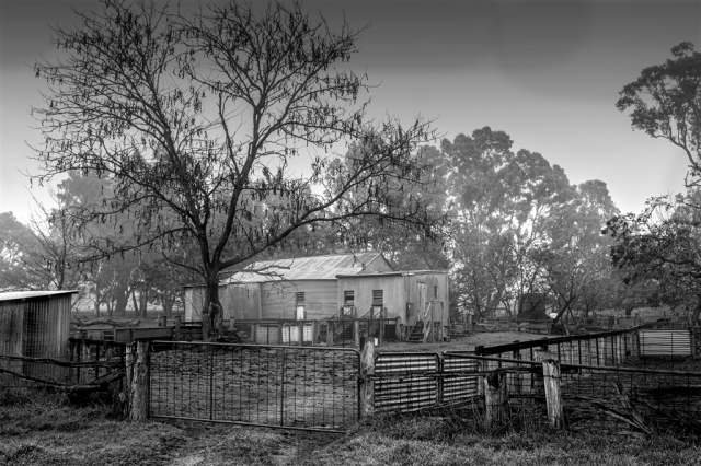 David Heatley Rural Life Top Merit 10 640x480 September 2026   Farm (Rural) Life