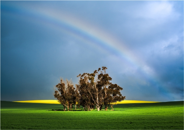 Lou Marafioti EFIAPg GMAPS Spalding Rainbow Merit 9 640x480 September 2026   Farm (Rural) Life