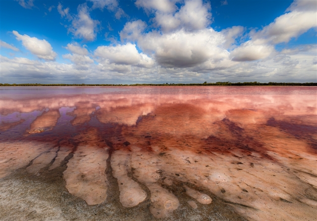 Peter Barrien EFIAP FAPS The Pink Lake Merit 9 640x480 September 2026   Farm (Rural) Life