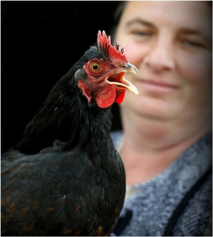 Vince Calo No Not Kentuky Highly Commended 8 640x480 September 2026   Farm (Rural) Life
